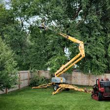 Best Tree Preservation Services  in Maplewood, WA