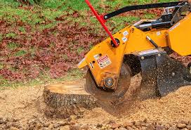 Lawn Maintenance Plans in Maplewood, WA